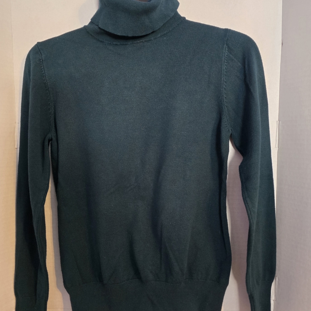 Cielo Women's Forest Green Turtleneck Sweater